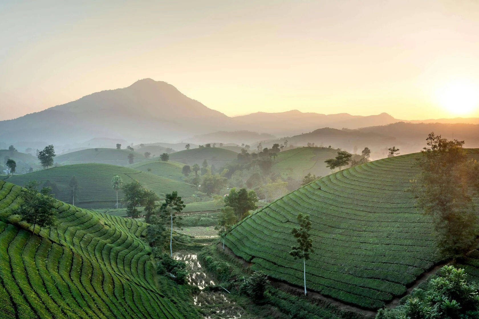 Sapa mountain views private Vietnam tour